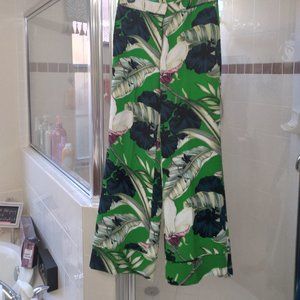 BEAUTIFUL ANN TAYLOR NWOT PANTS